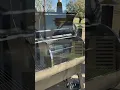 Meet the RecTeq Dual Fire 1200 Smoker BBQ Game-Changer