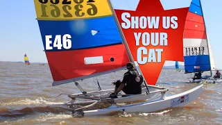 Show us your cat! Episode 46 Brazil, Australia and UK