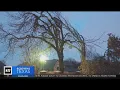 Flower Mound trees are vanishing in a construction nightmare