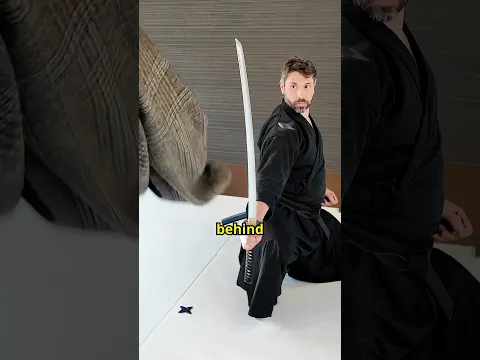 Can You FIGHT a Ninja and Win???