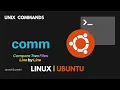 How to Compare Two Files to Display Unique and Common Lines comm Command in Linux