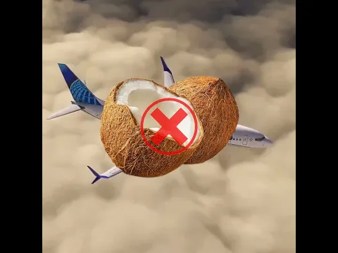 प्लेन में ये चीजें गलती से भी मत ले जाना 😱 | Never Take These Things On A Plane | #shorts