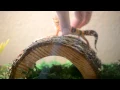 Crazy Screaming Lizard Original