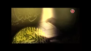 الشيخ محمود التهامي ابا الزهراء قناة التهامي الفضائية 