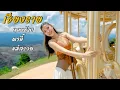 Download Lagu เชียงราย 4 วัน แม่สรวย ดอยช้าง ผาฮี้ 
