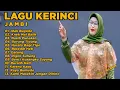Download Lagu Kumpulan Lagu Keirnci Jambi Populer Full Album Populer Diincar Perantau saat santai