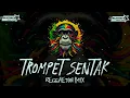 Download Lagu TROMPET SENTAK🌴 REGGAETON MIX🌴 MAUMERE BEAT OFFICIAL