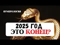 Download Lagu НУМЕРОЛОГИЧЕСКИЙ ПРОГНОЗ НА 2025 ГОД ЗМЕИ, РАСЧЁТ ЛИЧНОГО ЧИСЛА КАРМЫ И СУДЬБЫ,РЕКОМЕНДАЦИИ ДЛЯ ВСЕХ