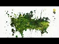 CSS Splash Image Mask using Html CSS CSS Master Series