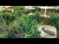 Download Lagu Complete100% New Landfill Project skill Dozer Komatsu Push Soil \u0026 Truck Dumping Soil into water