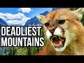 Ranking 7 Of The Deadliest Mountain Ranges Based On Their Wildlife