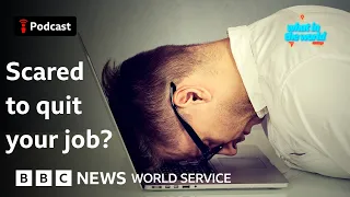 job hugging why nobody is quitting their job what in the world podcast bbc world service