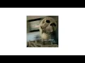 Download Lagu try again- jaehyun \u0026 d.ear [sped up]