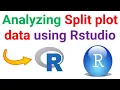 How to analyze split plot design by using Rstudio