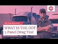 What Is The DOT 5 Panel Drug Test Department Of Transportation Drug Testing