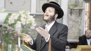 זאנוויל ויינברגר מקהלת מלכות פרקי אבות ווקאלי Malchus Choir Zanvil Weinberger Vocal 