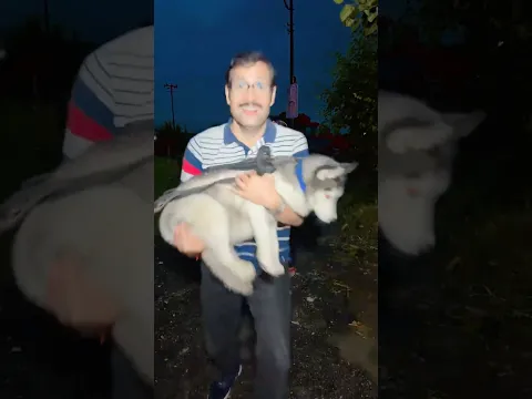Love your pets or children? 😳🤪 #love #shorts #trending