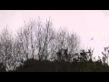 MASSIVE MILITARY MOVEMENT OVER CHARLOTTE NC AREA JADE HELM 15 DAHBOO7
