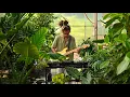 Download Lagu KDIN - Houseplants [DJ Mix at Sun Crest Gardens Green House] (play this when you water your plants)