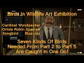 RDR2-Quick Hunt Cardinal Woodpecker Oriole Robin Sparrow Songbird BlueJay 100 3-Star Spawn Location