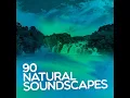 Riverside Birdsong - The Sounds of Earth Group