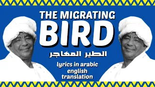 The Migrating Bird الطير المهاجر By Mohammed Wardi English Translation 