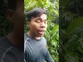 Download Lagu ang sosonod na mapapanood ay makapigil hininga. Abangan...