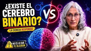 Cerebro Masculino vs Femenino: Lo que la Neurociencia Descubrió