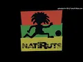 Natiruts - Presente De Um Beija-Flor