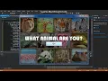 Visual Basic NET - What animal are you Tutorial Part 7