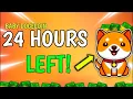 Download Lagu BABY DOGECOIN | IT'S CONFIRME | BIG GOOD NEWS | BABYDOGE BREAKING NEWS TODAY