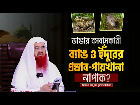 ডাঙায় বসবাসকারী ব্যাঙ ও ইঁদুরের প্রস্রাব-পায়খানা নাপাক? প্রফেসর ড. আবু বকর মুহাম্মাদ যাকারিয়া