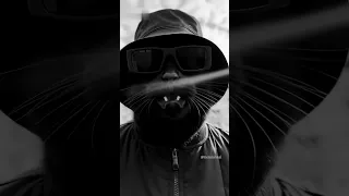 На Мурмулях 