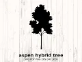 Aspen Hybrid Tree Silhouette SVG Birch like Tree Clipart Nature Vector Forest Design Digital Cut