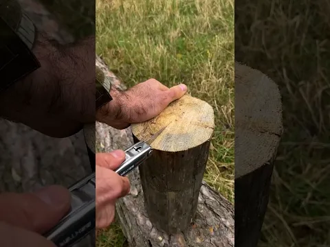 Chop Wood Without Mess
