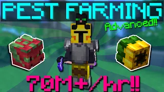 ADVANCED PEST FARMING GUIDE Hypixel Skyblock 2026