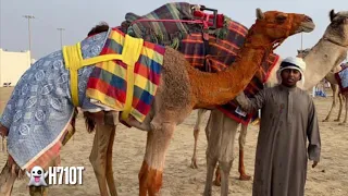 مامثل حفله على الساحه مسفر السندوانه 