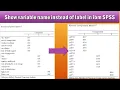 How to change variable label to variable name in ibm SPSS