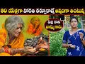 Download Lagu కొండపైన నివసిస్తూ హారతి బిళ్ళలను ఆహారంగా తింటున్న బామ్మ || Anchor Sridevi || Sun8 TV