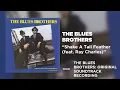 The Blues Brothers & Ray Charles - Shake A Tail Feather (Official Audio)