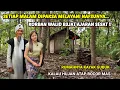 Download Lagu KORBAN WALID SESAT !! DERITA JANDA DESA CANTIK TERSAKITI HIDUP SENDIRIAN DI PINGGIR HUTAN ANGKER