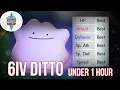 6 IV Ditto Catch in an Hour Pokemon Sword and Shield Guide
