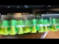 how to fix a hoover spin scrub 50 carpet cleaner for free