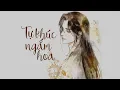 Download Lagu Tự Khúc Ngắm Hoa - Hoàng Minh [LYRIC VIDEO] #TKNH