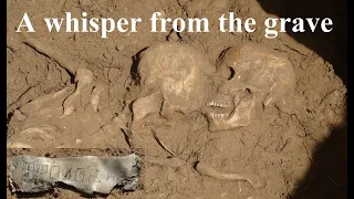investigation of stalingrad mass graves a whisper from the grave