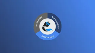 Cerberus Testing Product Overview