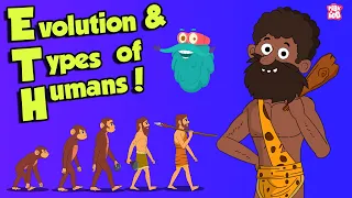 Download What Is Evolution \u0026 types of HUMANS | Dr Binocs Show | Peekaboo Kidz MP3