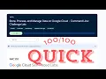 Store Process and Manage Data on Google Cloud - Command Line Challenge Lab