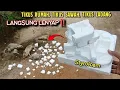 Download Lagu NA HET BEKIJKEN WEET JE HET‼️DAT DOOR HET GEBRUIK VAN STYROFOAM HONDERDEN RATTEN ONMIDDELLIJK VER...