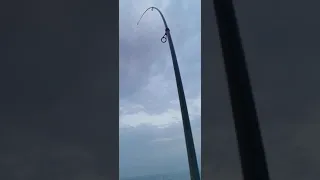 صوت سحبة سمكة على قصبة البايلوت 